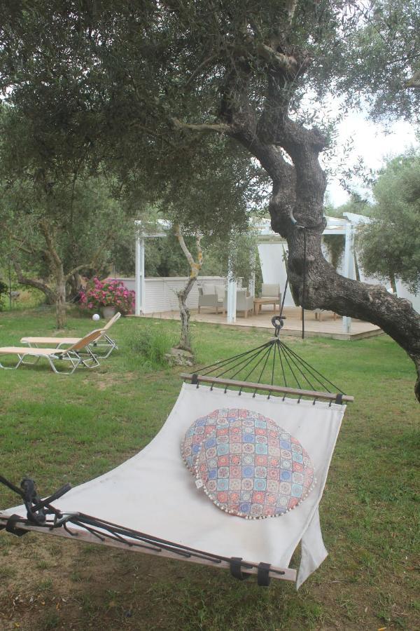 Rodis Studios Tsilivi  Extérieur photo
